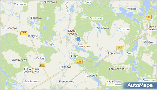 mapa Wojnowo, Wojnowo gmina Murowana Goślina na mapie Targeo